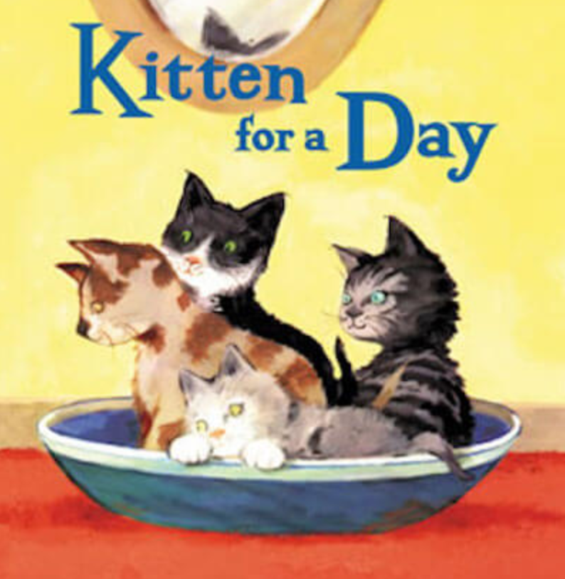 Book Cover of Kitten for a Day